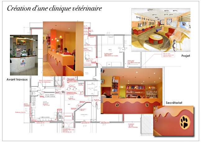 Architecture et d&eacute;coration d'int&eacute;rieur : Clinique v&eacute;t&eacute;rinaire